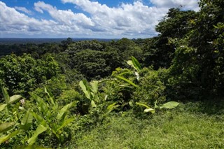 French Guiana weather forecast