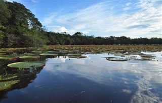 French Guiana weather forecast