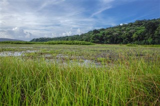 French Guiana weather forecast