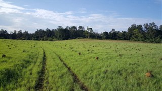 Gabon weather forecast