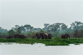 Gabon weather forecast