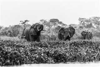 Gabon weather forecast