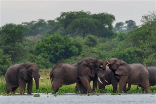 Gabon weather forecast