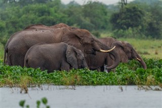 Gabón pronóstico del tiempo