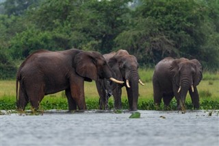 Gabon prognoza pogody