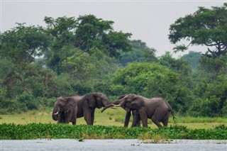 Gabon weather forecast