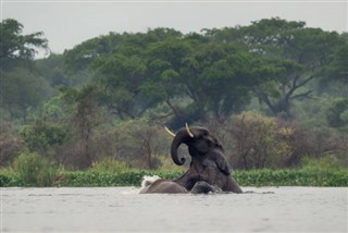 Gabon weather forecast