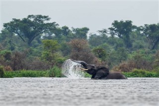 Gabon weather forecast