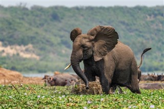 Gabon weather forecast