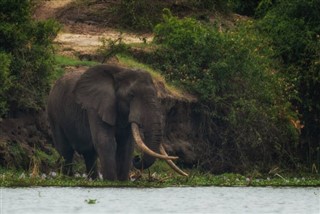 Gabon weather forecast