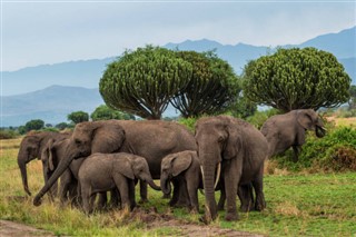 Gabon weather forecast