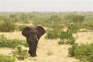 Gabon weather forecast