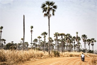 Gambia weather forecast