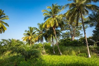 Gambia weather forecast