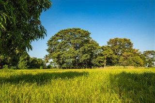 Gambia weather forecast