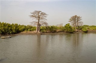 Gambia weather forecast