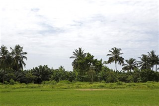 Gambia weather forecast