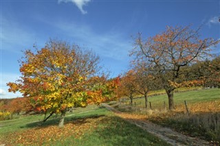 Germany weather forecast