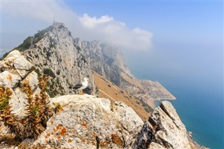 Gibraltar weather forecast