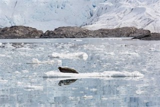 Grenland vremenska prognoza