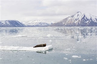 Greenland weather forecast