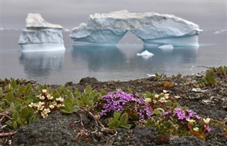 Greenland weather forecast