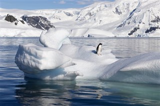 Greenland weather forecast