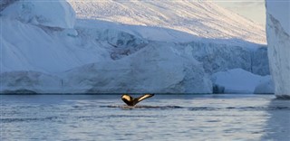 Greenland weather forecast