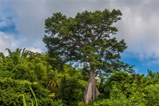 Grenada weather forecast