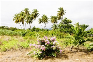 Grenada weather forecast