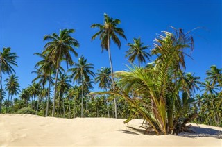 Grenada weather forecast