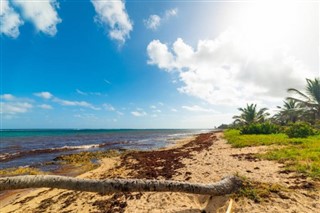 Guadeloupe weather forecast