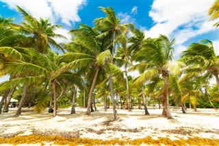 Guadeloupe weather forecast