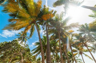 Guadeloupe weather forecast