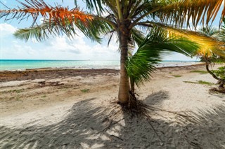 Guadeloupe weather forecast