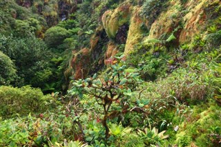 Guadeloupe weather forecast