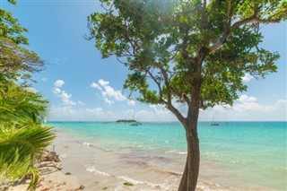 Guadalupe pronóstico del tiempo