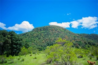 Guatemala weather forecast