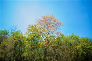 Guatemala weather forecast