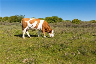 Guernsey weather forecast