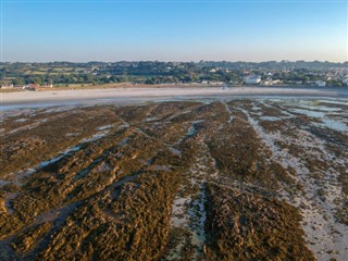 Guernsey weather forecast