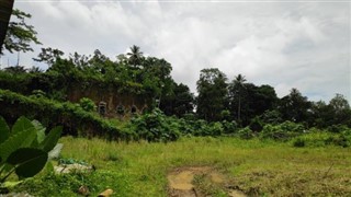 Guinea weather forecast