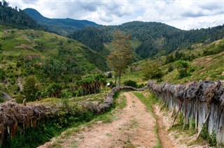 Guinea weather forecast