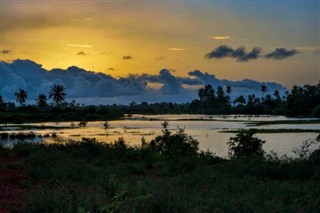 Guinea weather forecast