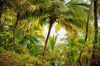 Guinea weather forecast