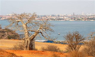 Guinea weather forecast