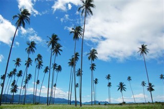 Guinea weather forecast