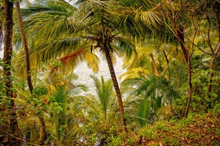 Guinea weather forecast