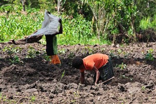 Guinea weather forecast