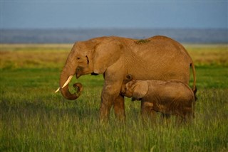 Guinea-Bissau pronóstico del tiempo